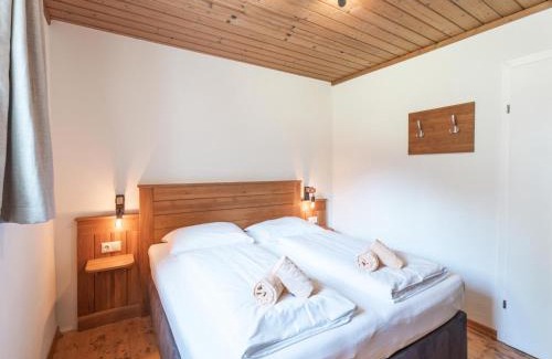 Viehhofen Apartment | Alpensteinbock Saalbach D