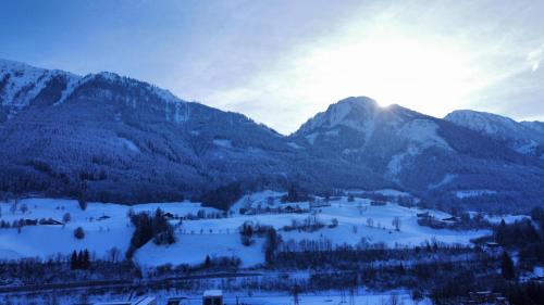 Schwarzach im Pongau Apartment | Alpha Apartments