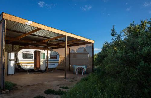 Clanwilliam Other | Alpha Excelsior Donkey camp