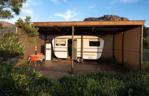 Clanwilliam Other | Alpha Excelsior Donkey camp