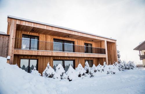 Luns Ski Chalet | Alpine Chalets App. Pichlerhof