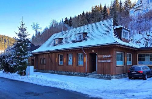 Wildemann Apartment | Alpine Escape in Wildemann, cleaning included