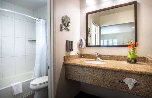 Anaheim Resort Hotel | Alpine Inn