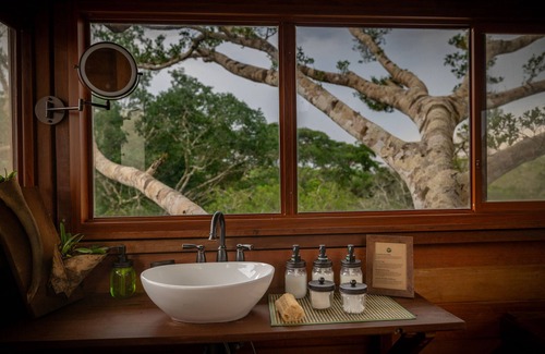 Tambopata Cabin | Alta Sanctuary