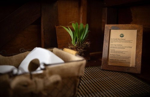 Tambopata Cabin | Alta Sanctuary