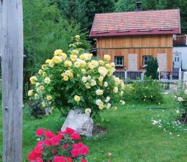 Altaussee House | Altes Forsthaus am Bach