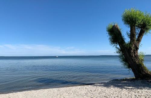 Muritz Hotel | Altes Gutshaus Klink