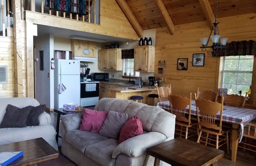 San Juan River Village Cabin | Altitude Adjustment cabin near Wolf Creek - pet friendly
