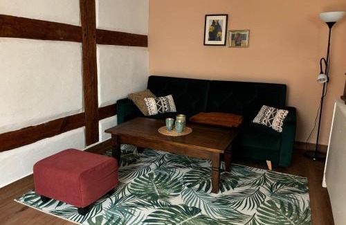Neuruppin Apartment | Altstadt & See & Garten Haustiere willkommen