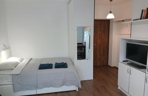 Alytus Apartment | Alytus Studio 45