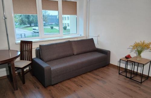 Alytus Apartment | Alytus Studio 45
