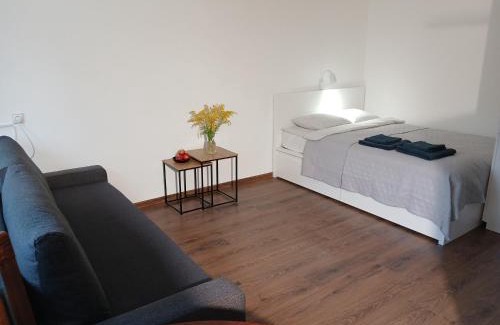 Alytus Apartment | Alytus Studio 45