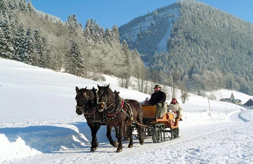 Faistenau Apartment | Am Ferienbauernhof Schmiedbauer com Salzkammergut