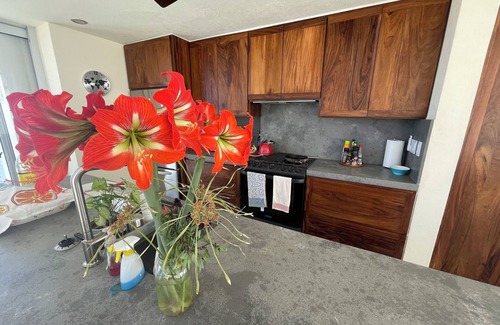 San Jose del Cabo House | Amazing 3-bedroom Eco-Retreat in the beautiful East Cape