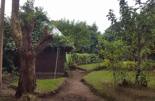 Western Region Hotel | Amajambere Iwacu Community Camp