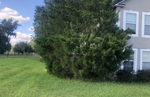 Northside Villa | Amazing 1-bedroom villa in Jacksonville with WiFi, working desk and AC