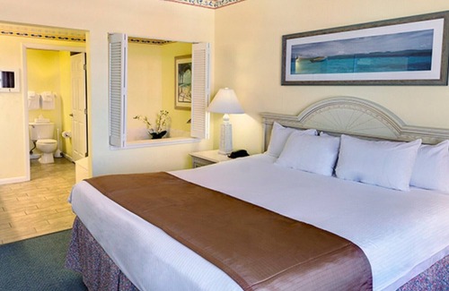 Brush - Stewarts Resort | Amazing 2 Bedroom Deluxe at Wyndham Ocean Walk in Daytona Beach 02/12/21- 02/15/21