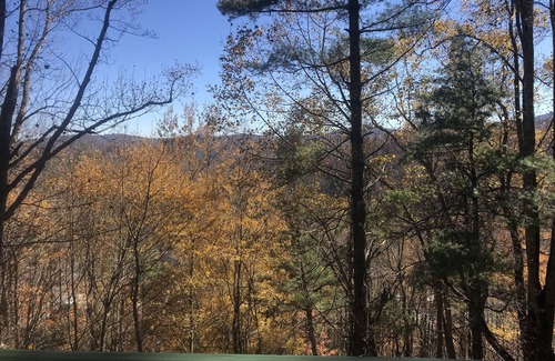 Banner Elk Cabin | Amazing 3-Story Log Cabin w/Jacuzzi, Loft, Pool & Ping Pong Table/Wi-Fi Sleep 10