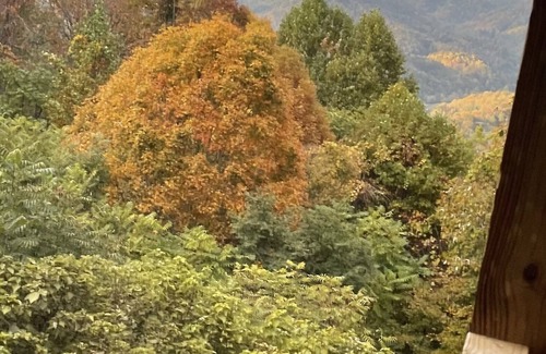 Bakersville House | Amazing Mountain Views HOT TUB Fire Pit Remote Location Pet Friendly