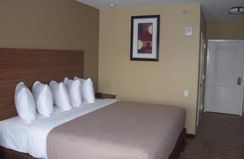 Queens House | Amazing Stay in Queens, Comfort & Convenience, Near Museum of the Moving Image