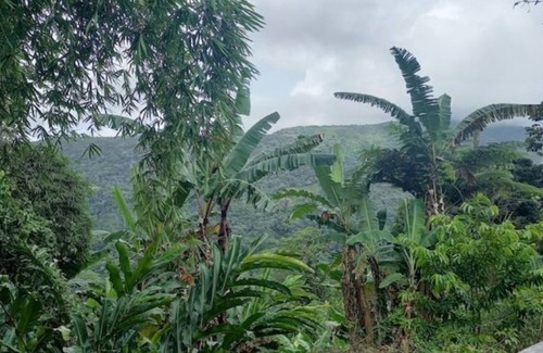 Cambita Garabitos Cottage | Amazing View to the Mountains, Wifi, Pet Friendly, @drvacationsrental