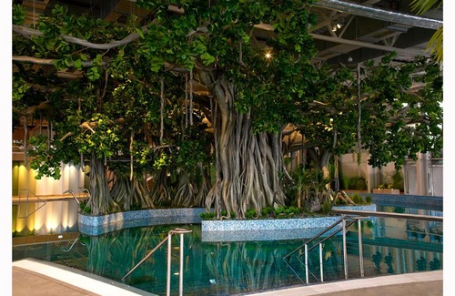Calea Sever Bocu Apartment | Amazonia Hotel