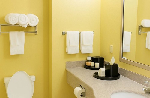 Tuscaloosa Hotel | Ambassador Inn and Suites Tuscaloosa