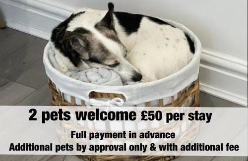 Moseley Apartment | AMBER Delightful Suite Moseley Mews, Birmingham By StayStaycations