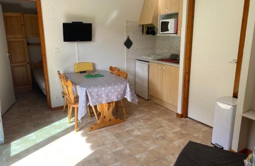 Thollon-les-Memises Apartment | Ambiance montagne front de neige
