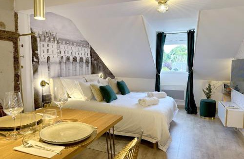 Amboise Apartment | Amboise centre ville - Cocon Royal à deux pas du Château