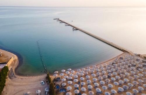 Al Ahyaa Resort | AMC Royal Hotel & Spa