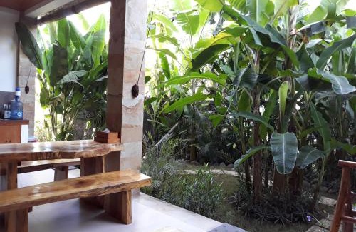 Amed Cabin | Amed Sudi House