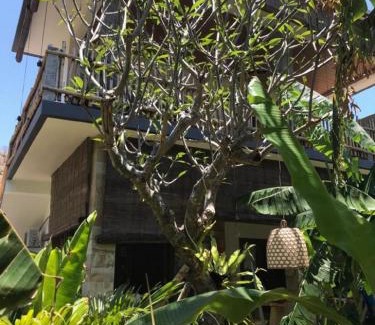 Amed Cabin | Amed Sudi House