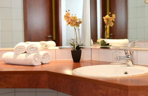 Ruesselsheim Hotel | Amedia Frankfurt Russelsheim Trademark Collection by Wyndham