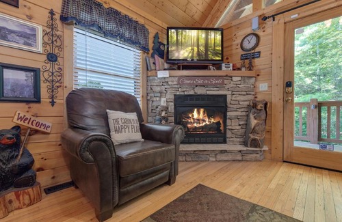Black Bear Falls House | Americana