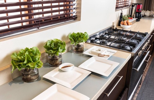 Summerstrand House | Amery House