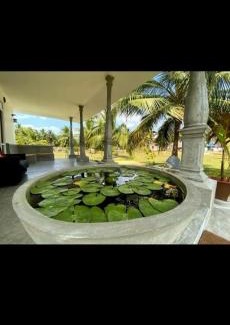Kalpitiya Hotel | Amigoes Kite Resort
