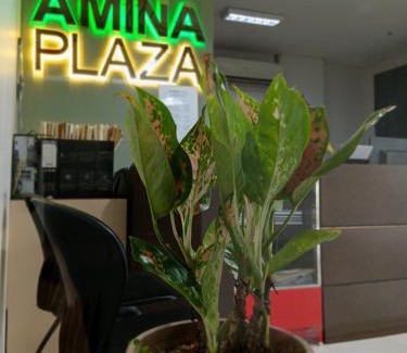 Culiat Apartment | Amina Plaza and Residences