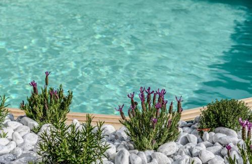 Castelnuovo d'Elsa House | Amis Home