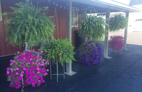 Millersburg Apartment | Amish Country 1 mile to downtown Berlin