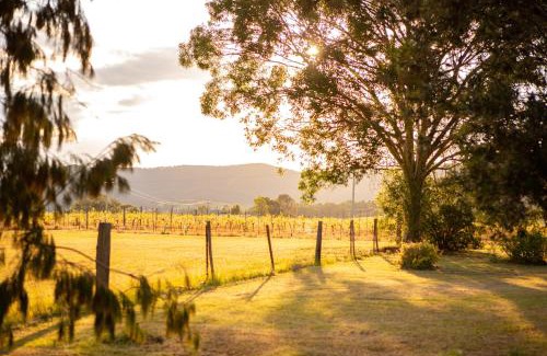 Pokolbin Villa | Among the Vines