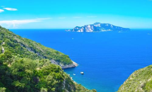 Termini Villa | Amore Rentals - Villa Bacco