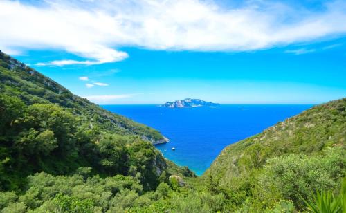 Termini Villa | Amore Rentals - Villa Bacco
