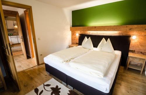 Dorfgastein Apartment | Amosergut