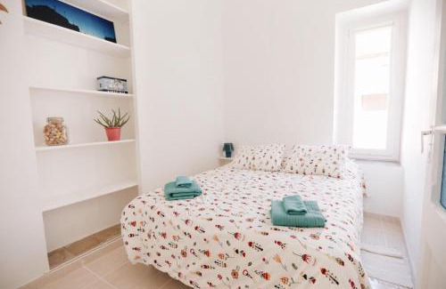 Old Town Apartment | Amparito Apartment - Casc Antic