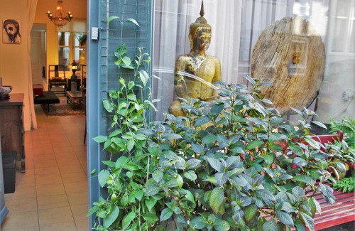 Jordaan Apartment | Amsterdam Lily apartment
