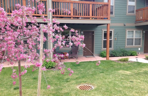 Franklin to the Fort Apartment | An Apartment Gem Located In The Heart Of Missoula