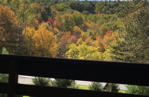 Loudonville House | AN OWL and the MOON. Get-Away in Mohican State Park. Location is perfect!