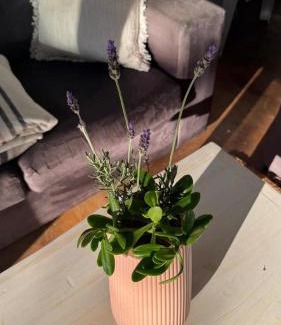 Lidgetton West Apartment | Anamcara Villa 2, Natal Midlands Balgowan