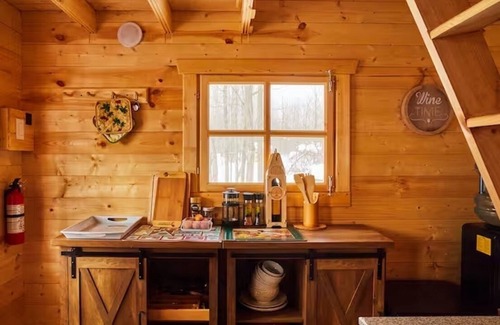 Alexandria Cabin | Anastasia’s Domain 4, Farm stay, off grid cabin in a beautiful forest!